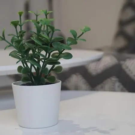 Cosy T2 Wifi Parking Proche Gare Centre Апартаменты *