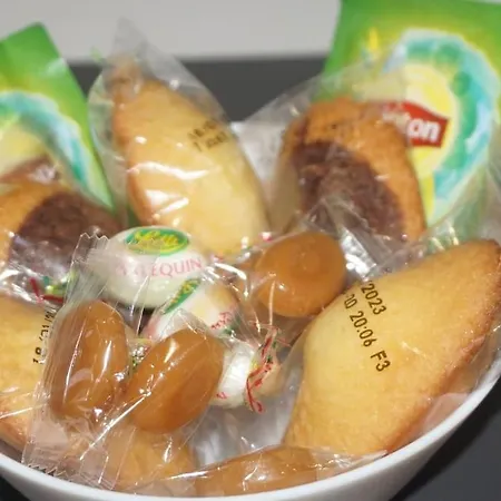 Apartman Cosy T2 Wifi Parking Proche Gare Centre